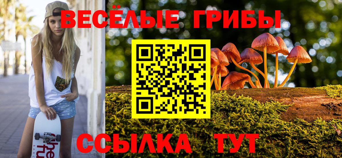 Псилоцибиновые грибы GOLDEN TEACHER Янаул