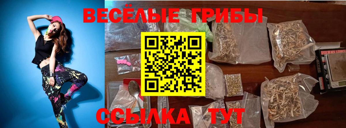 Янаул  Псилоцибиновые грибы Magic Shrooms  Вход с VPN 